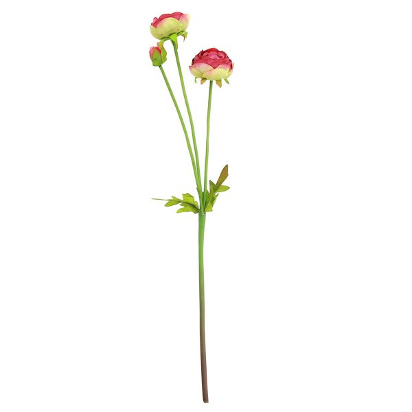 Цветок "Ранункулюс" 44см, 2 цветка, 1 бутон, бордовый
