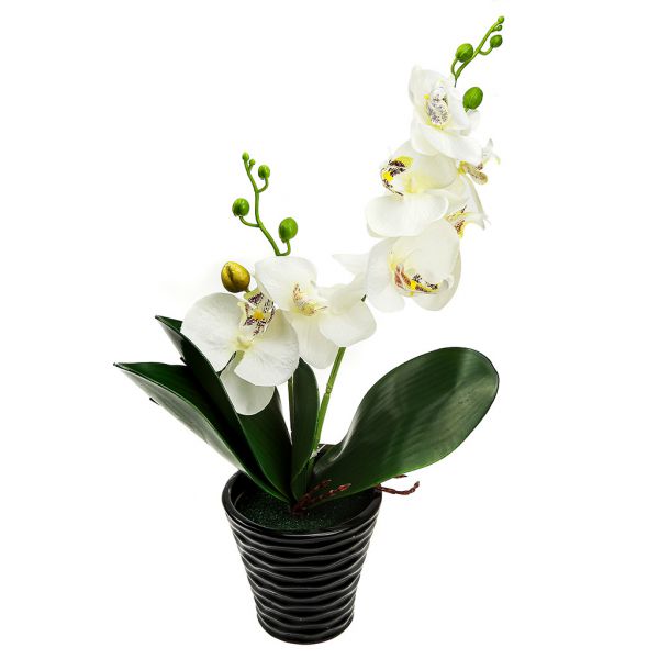 Цветочная композиция "Орхидея" 43см в керам. кашпо, белый