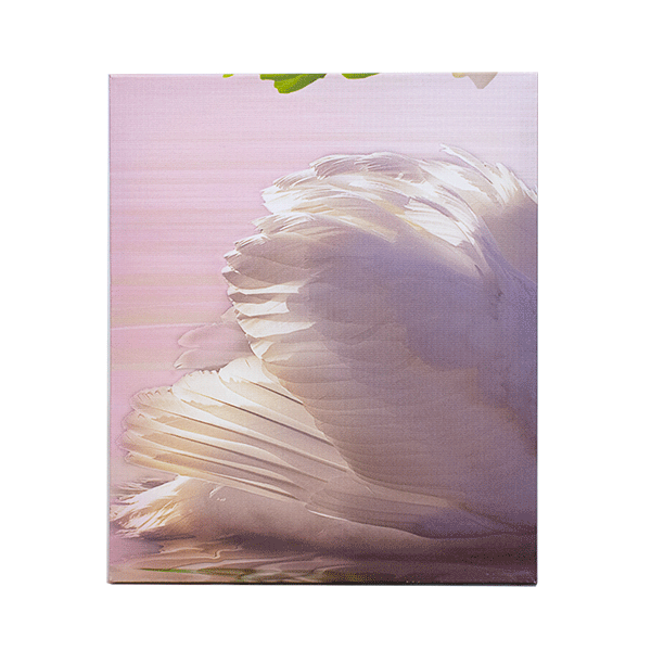 Модульная картина Триптих Лебеди Верность 78х50см