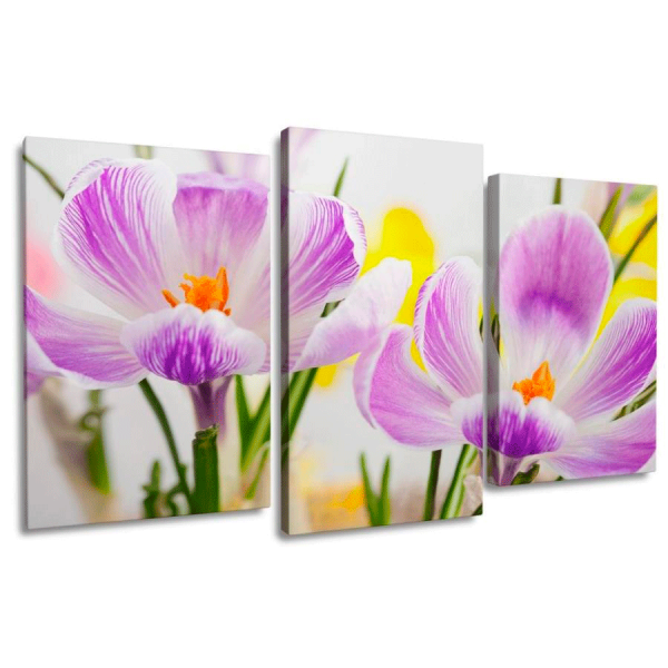 Модульная картина Триптих 100х60см Яркие тюльпаны