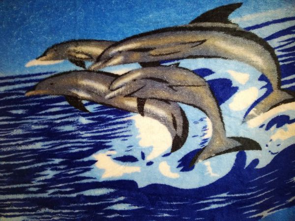 Плед велсофт "Дельфины", 180*200
