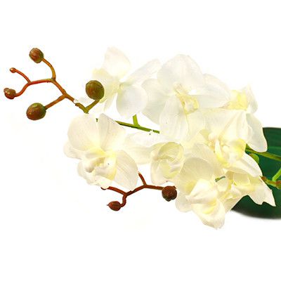 Цветок "Орхидея" с корнем 43см белый