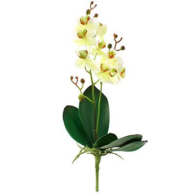 Цветок "Орхидея" с корнем 43см бело-желтый