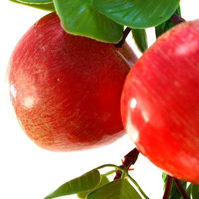 Декоративное яблоко 8 шт на косичке 45см цвет в ассор.