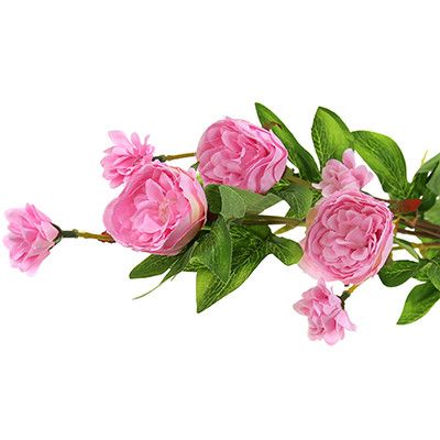 Ветка "Розы пионовидные" 75см 7цв. цвет микс
