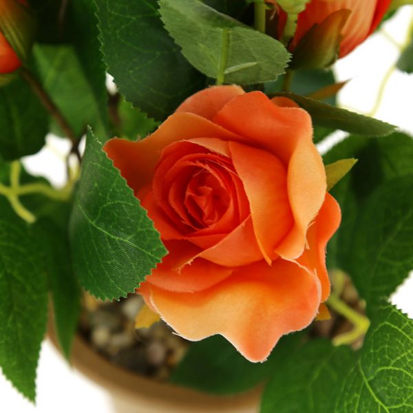 Цветочная композиция "Розы" h25см, в горш, цвет микс
