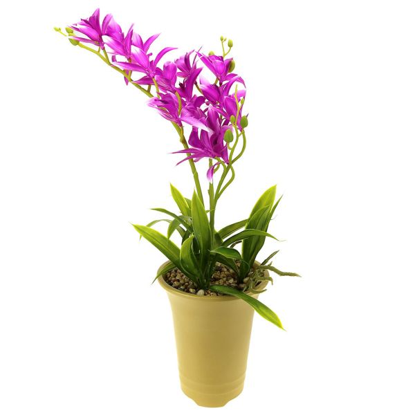 Цветочная композиция "Орхидея" h45см, в горшке, цвет микс