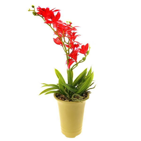 Цветочная композиция "Орхидея" h45см, в горшке, цвет микс