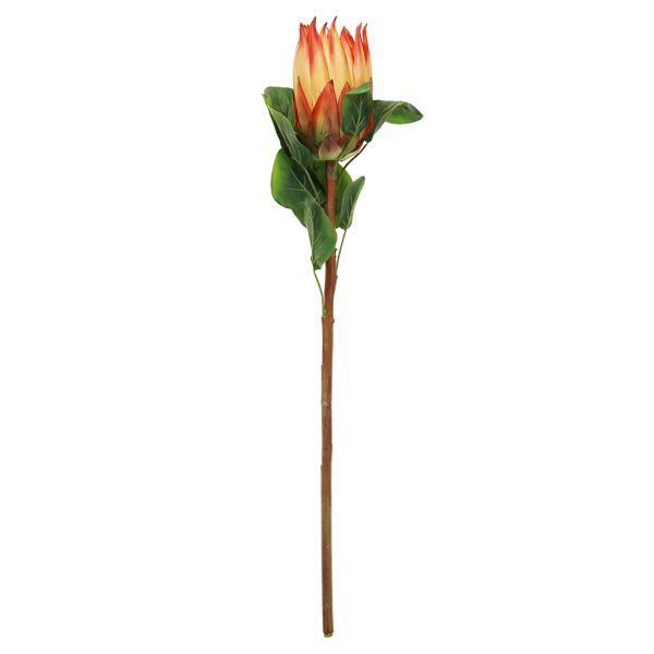 Цветок "Протея" 68см, 1 цветок - д8х14,5см, оранжевый