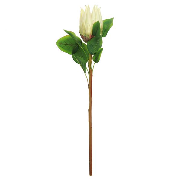 Цветок "Протея" 68см, 1 цветок - д8х14,5см, ванильный