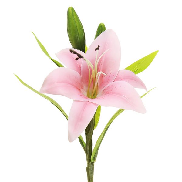 Цветок "Лилия" 35см, 1 цветок - д14х6см, 3 бутона, персик.
