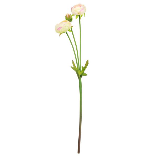 Цветок "Ранункулюс" 44см, 2 цветка, 1 бутон, нежно-розовый