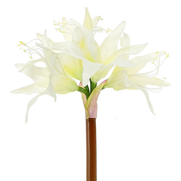 Цветок "Амариллис" 75см, 4 цветка 14х10см, 1 бут, белый