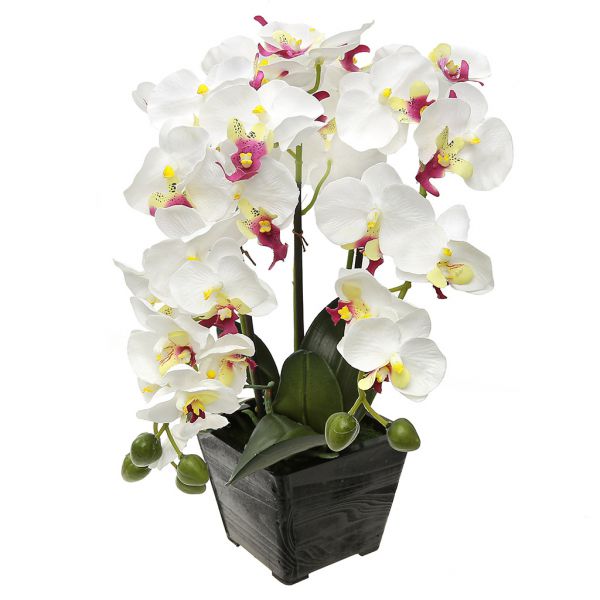 Цветочная композиция "Орхидея" 37см в дерев. кашпо, белый