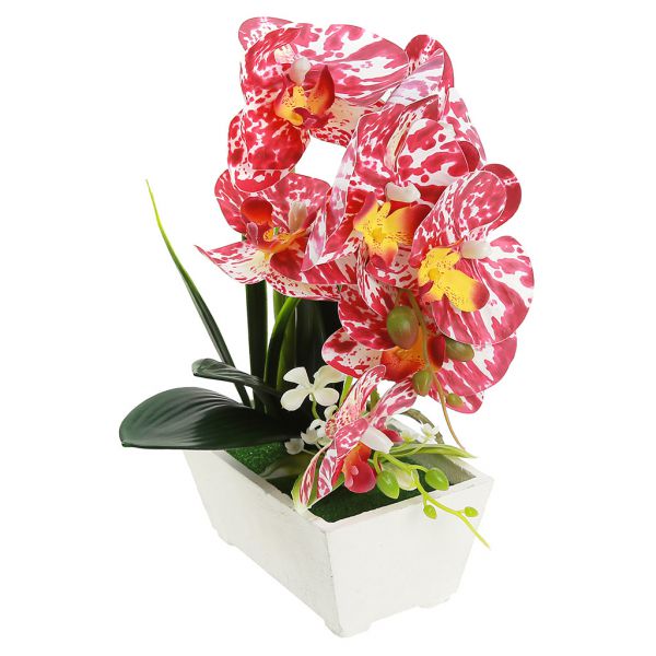 Цветочная композиция "Орхидея" 28см в дерев. кашпо, борд-белый