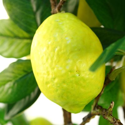 Декоративное дерево "Лимон" h60см в горшке д19,5см h17см
