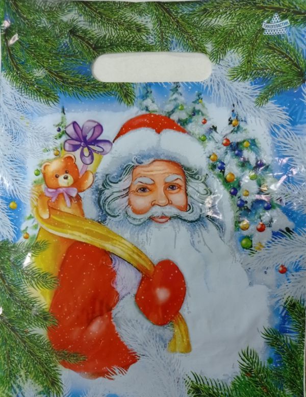 Пакет подарочный "Дед мороз" 20х30см, ПВД с выруб. руч.