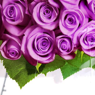 Зонт-трость полуавтомат "Розы", фиолетовый